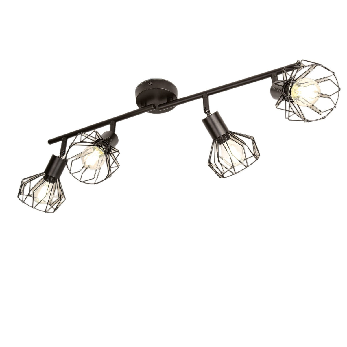 Matte Onyx Radial Mount Light