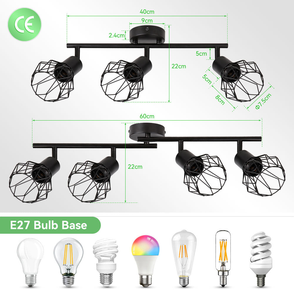 Matte Onyx Radial Mount Light