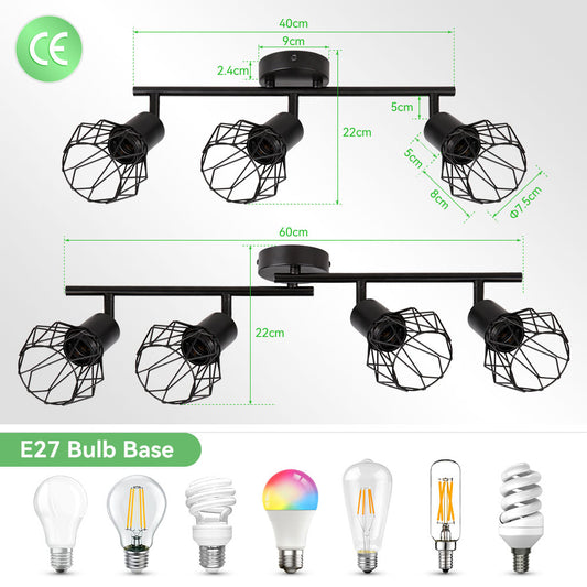 Matte Onyx Radial Mount Light